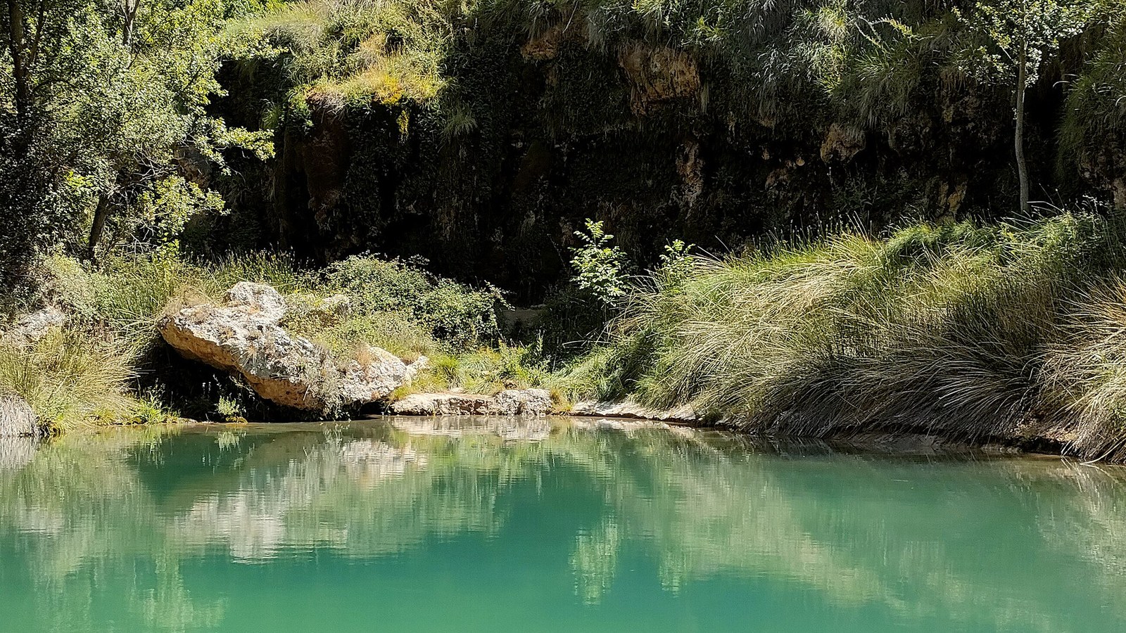 La poza de agua verde del Aguallueve de Anento, bajo la visera de roca y la vegetación