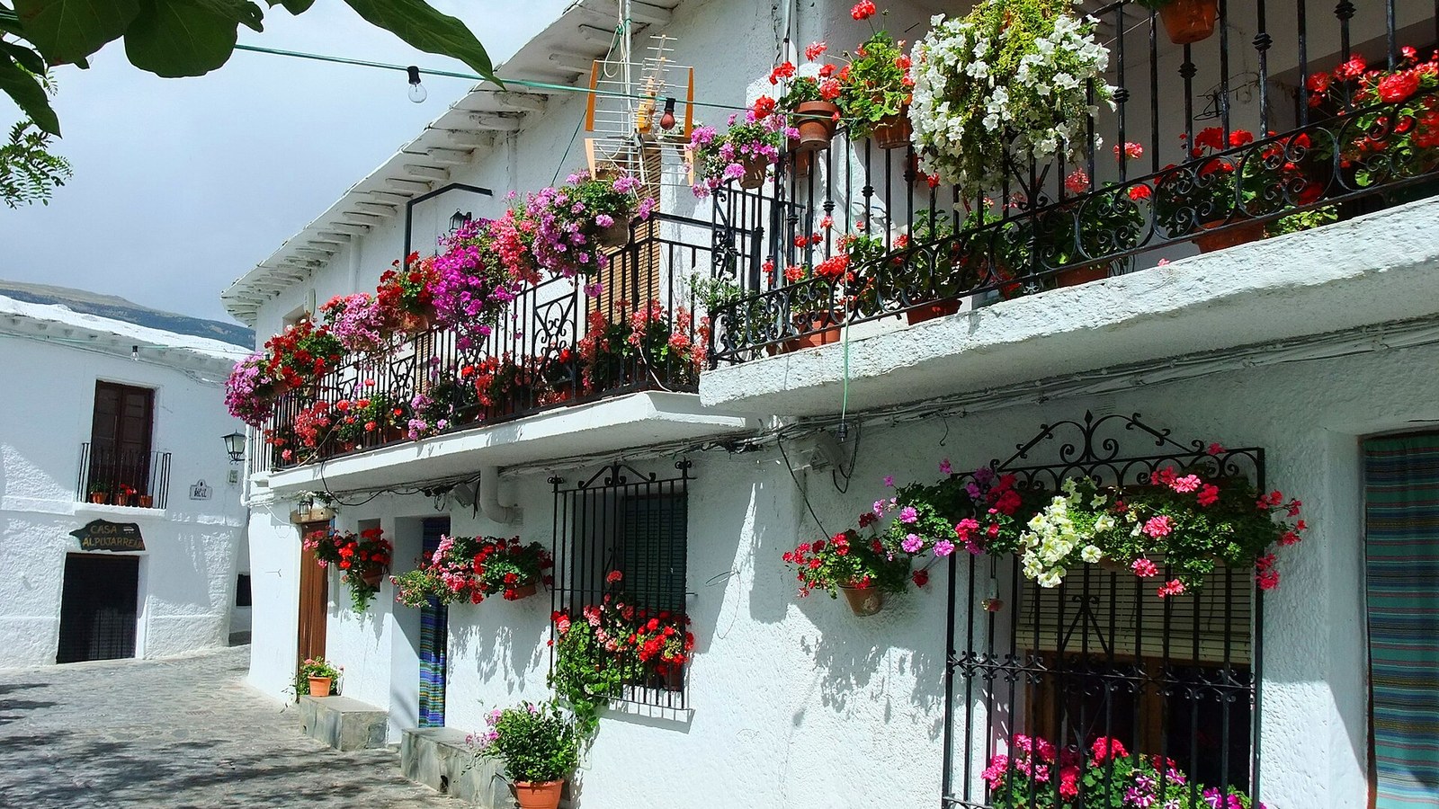 Balcón corrido cubierto de geranios en una calle encalada de Bubión