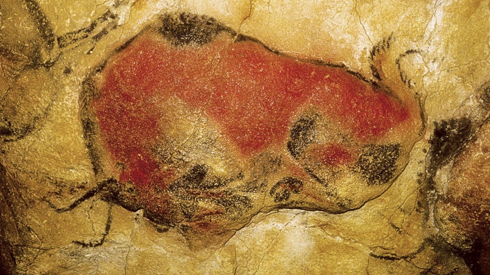El bisonte policromado del techo de la cueva de Altamira