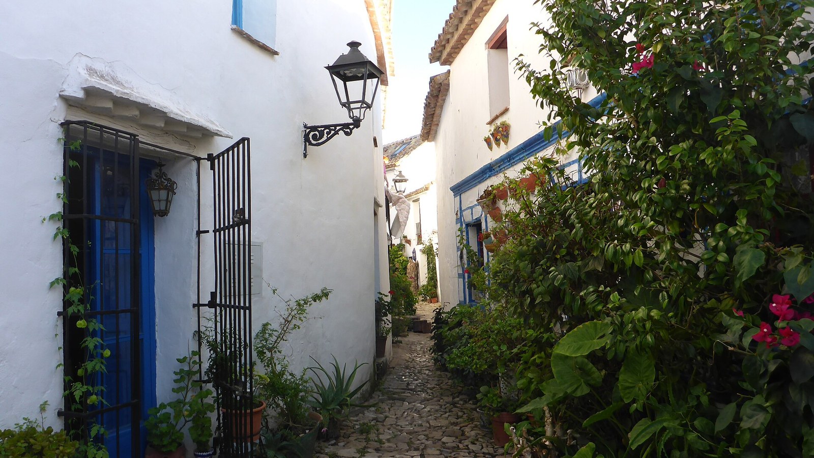 Callejón encalado con plantas y una puerta azul dentro del castillo de Castellar