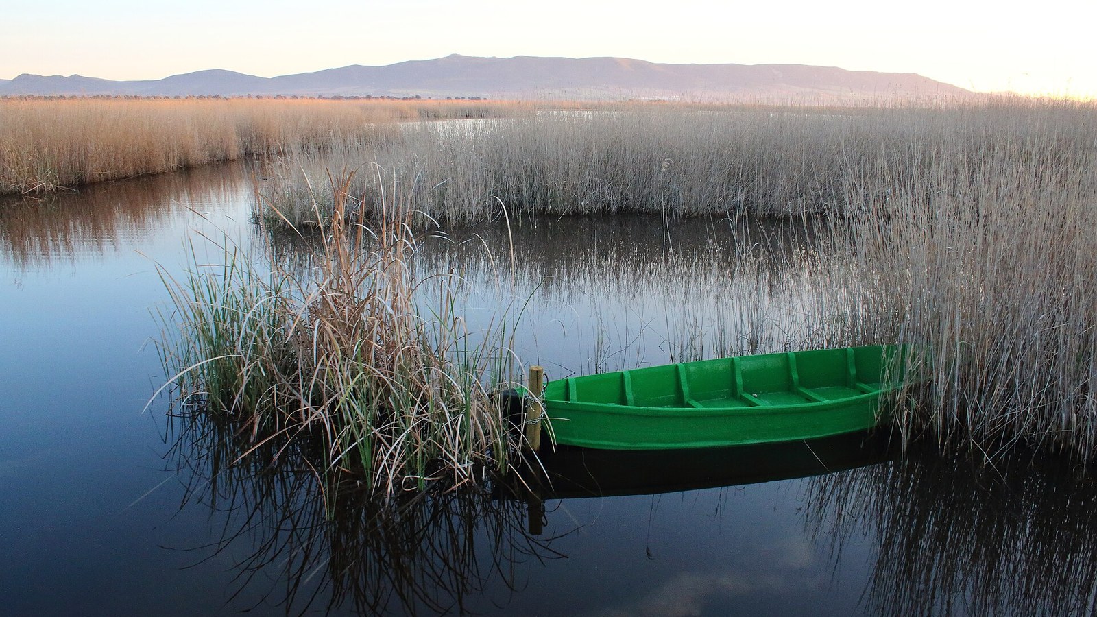 Una barca verde entre carrizos en el Parque Nacional de las Tablas de Daimiel