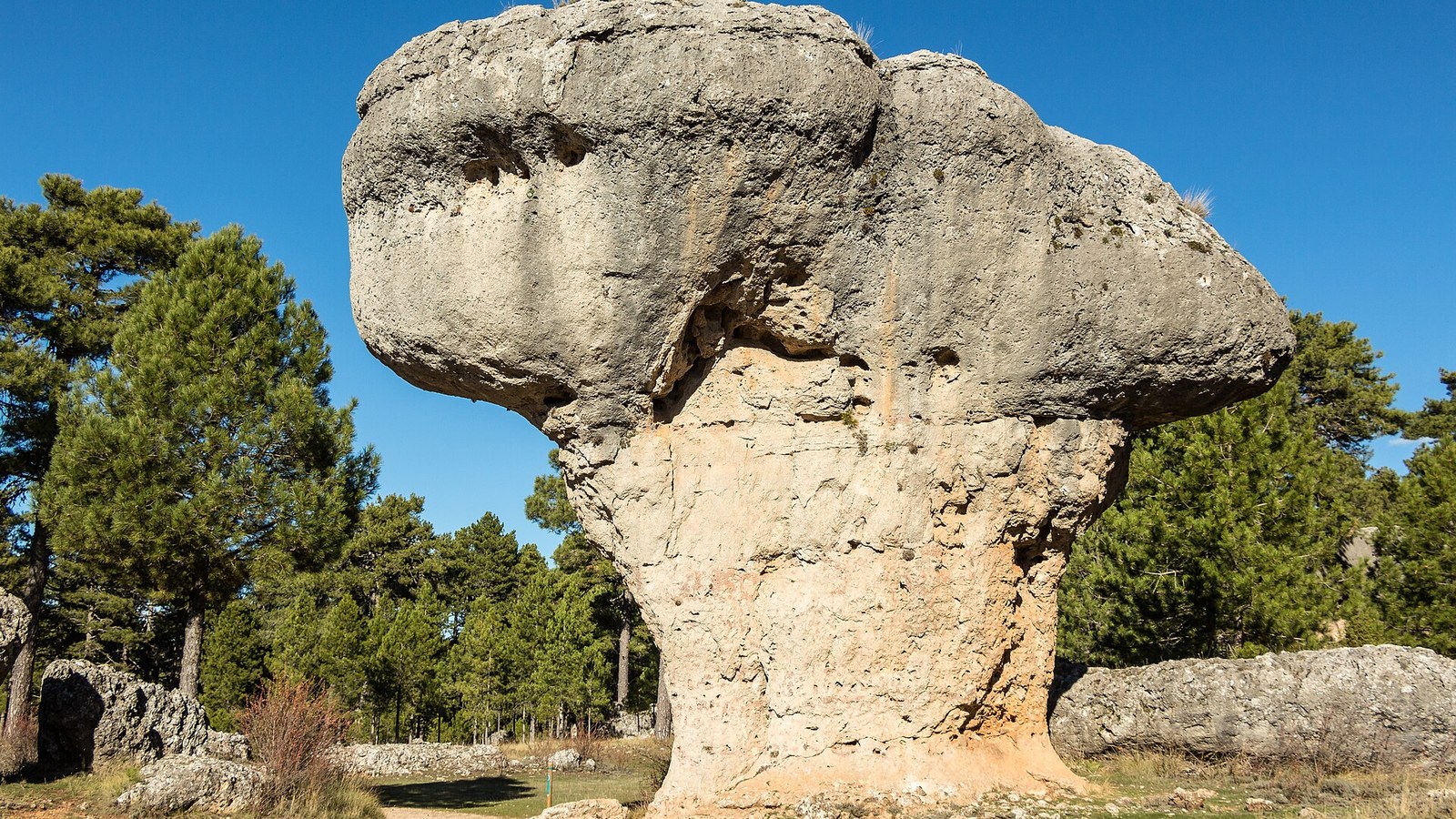 Una formación caliza en forma de seta en la Ciudad Encantada de Cuenca