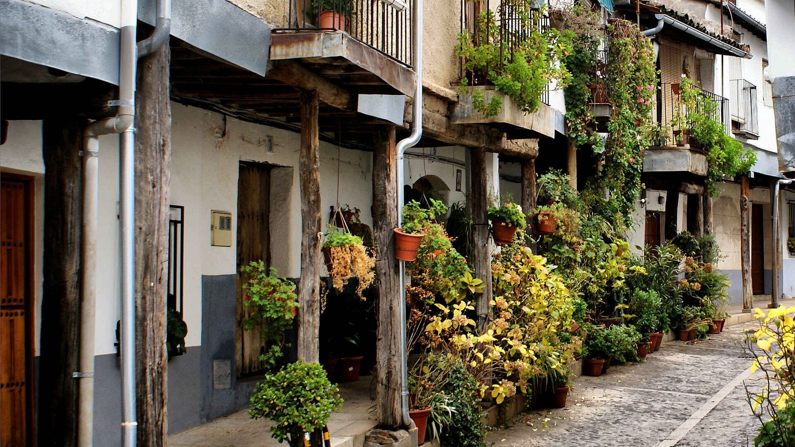 Calle de Guadalupe con soportales de madera, balcones y macetas de flores