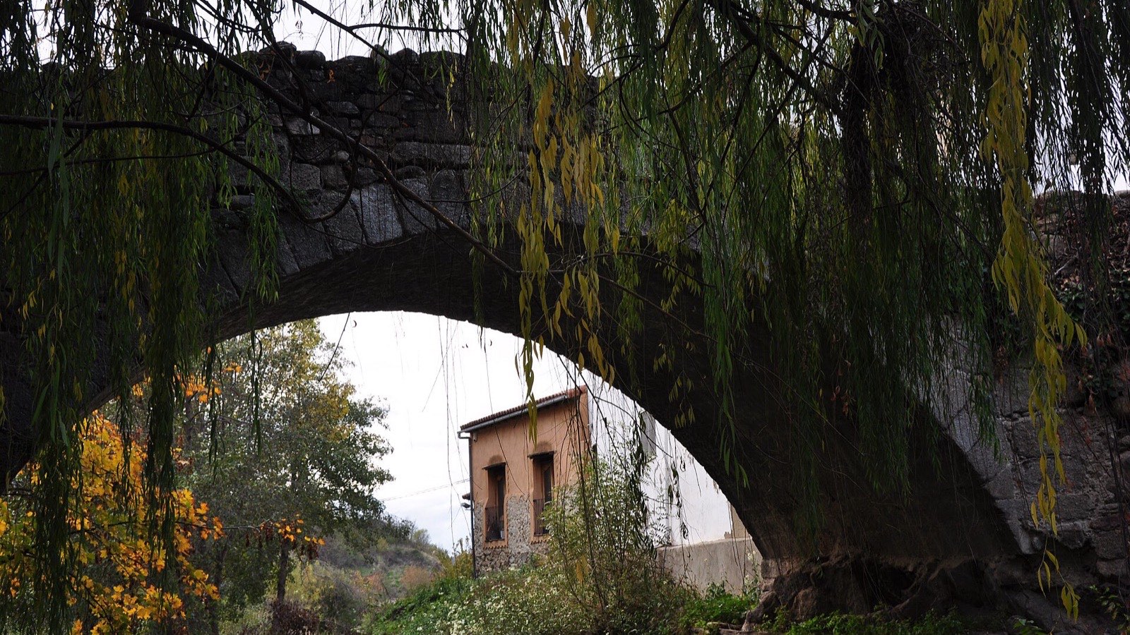 Puente medieval de piedra sobre el río Ambroz en Hervás, con sauces y una casa al fondo