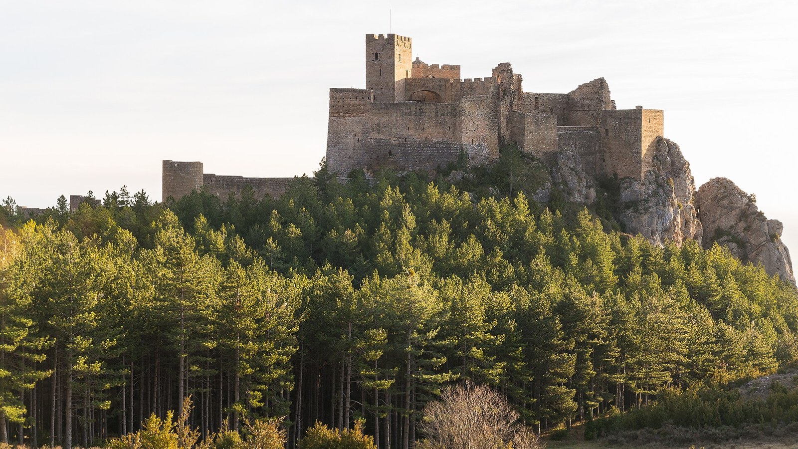 El castillo románico de Loarre sobre su risco, rodeado de pinar