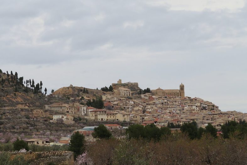 La Fresneda sobre su cerro, con la iglesia arriba y los olivos delante