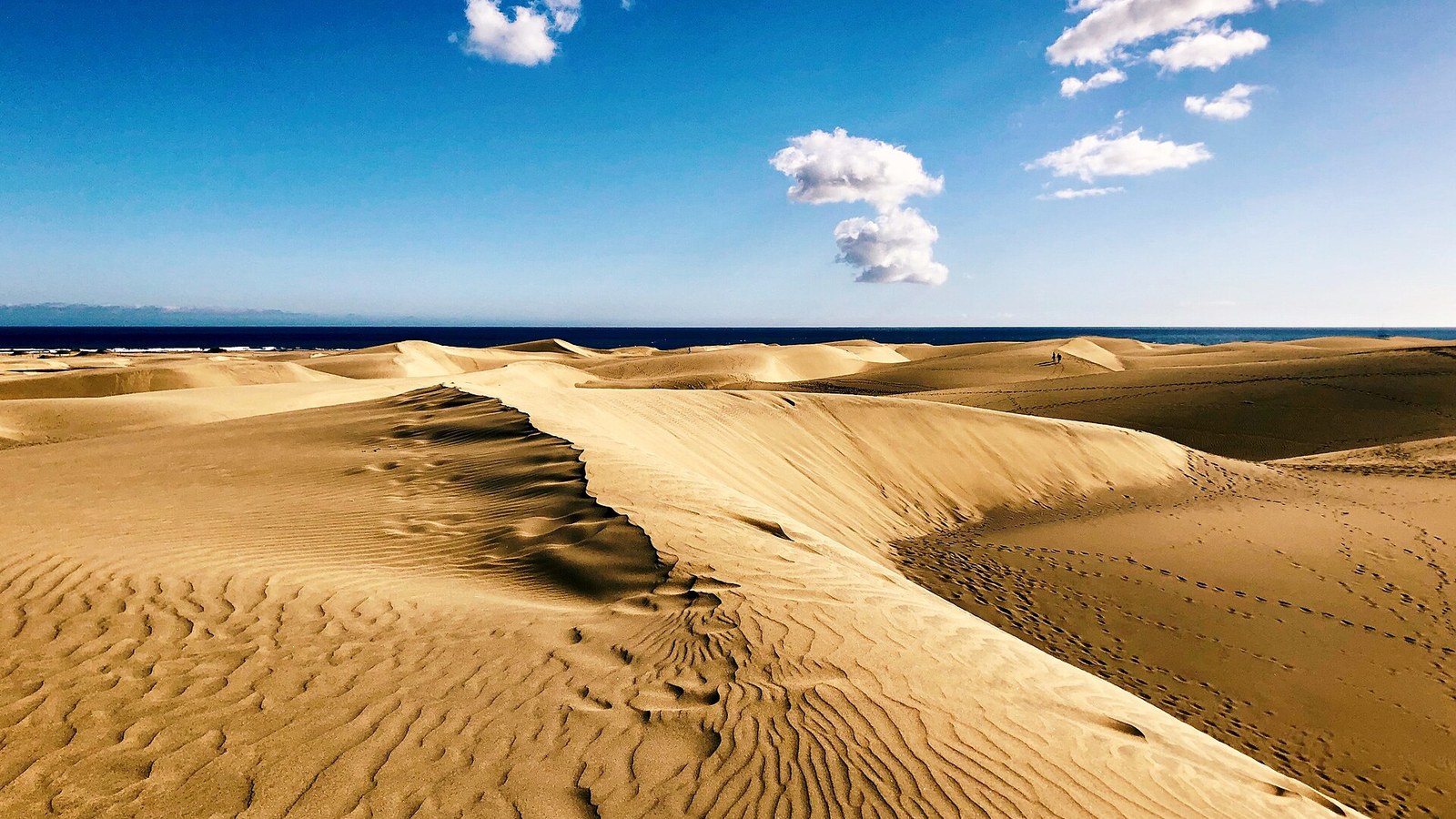 Las dunas de Maspalomas, en el sur de Gran Canaria, con el mar al fondo