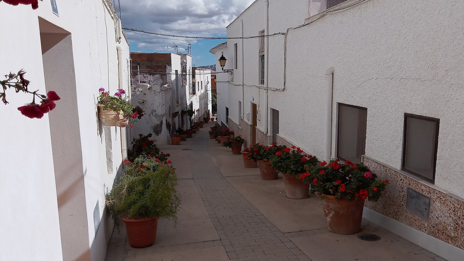 Calle encalada de Lucainena de las Torres con macetas de geranios a ambos lados