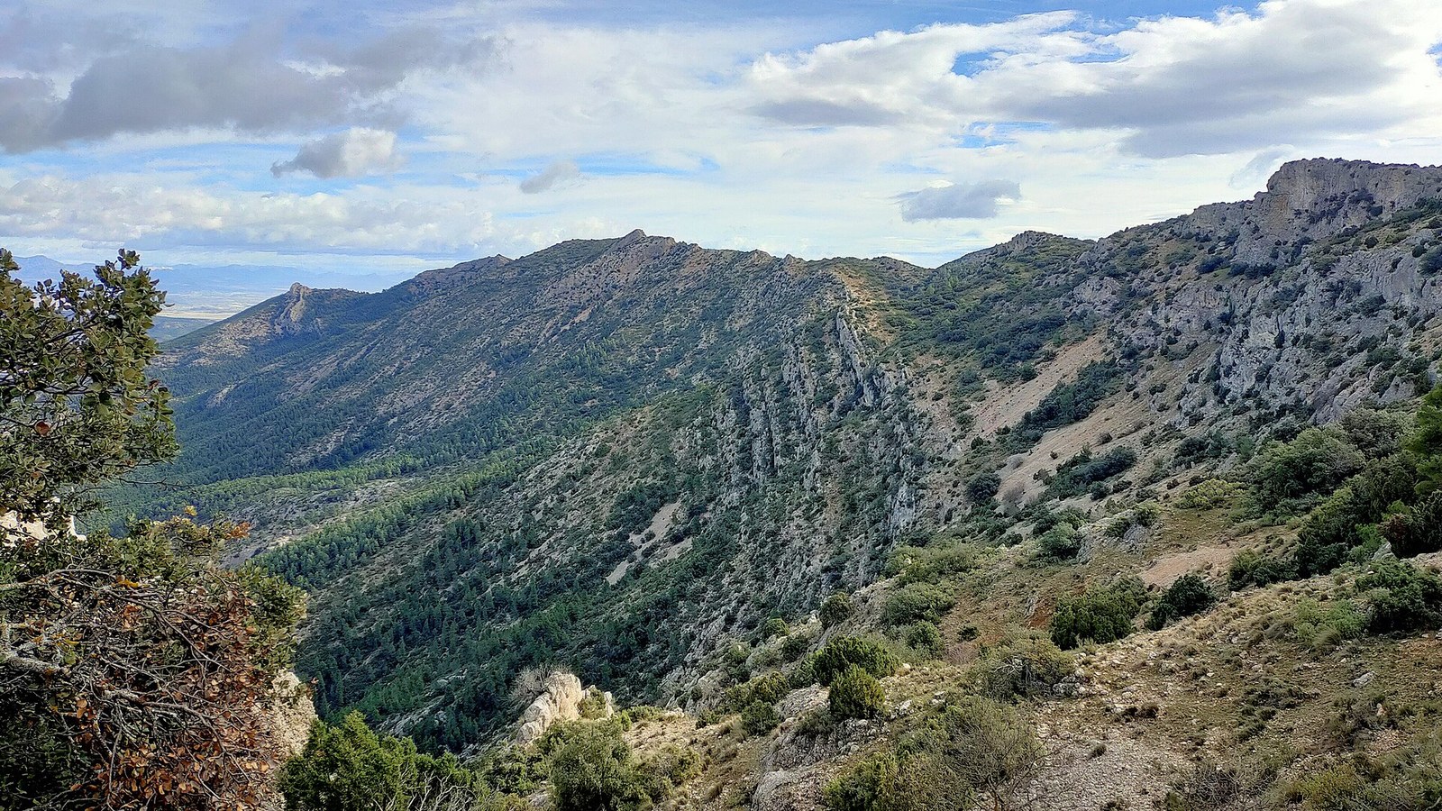 Las laderas boscosas de Sierra Espuña con las cumbres al fondo