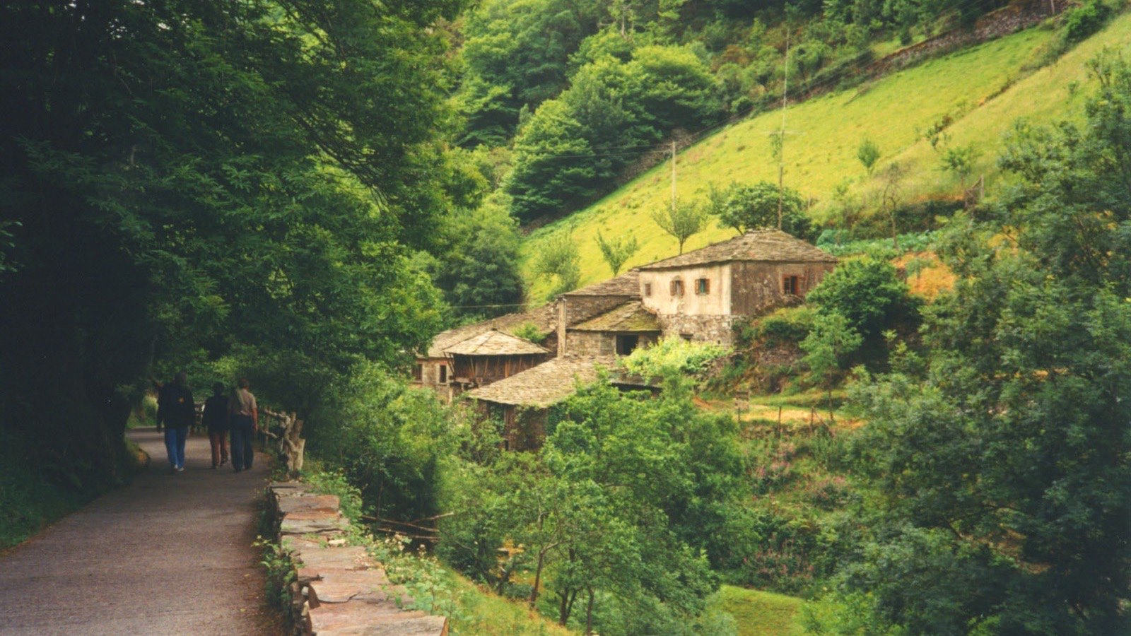 Camino de piedra que baja hasta las casas de pizarra de la aldea de Os Teixois entre laderas verdes