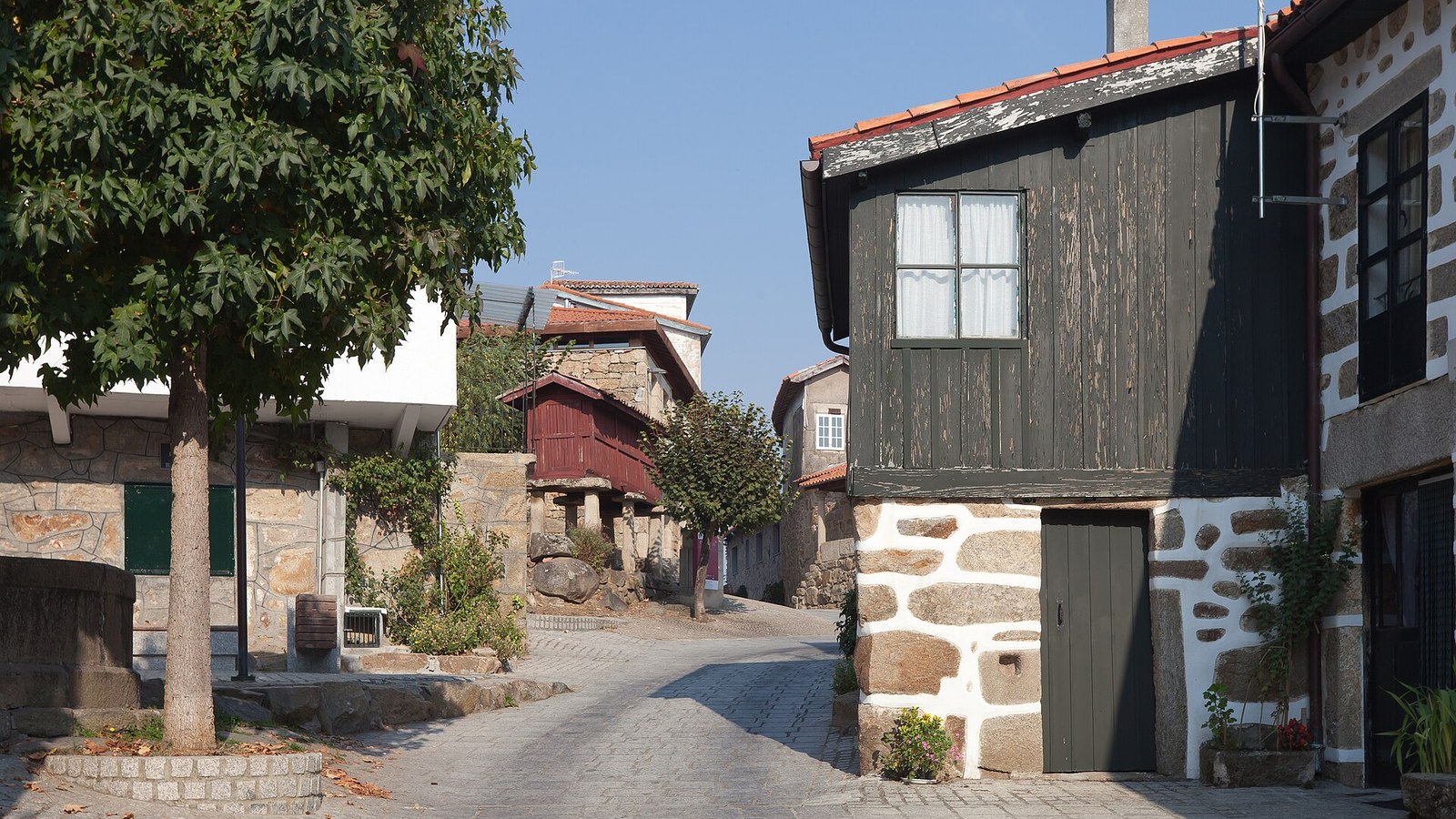 Calle de Vilanova dos Infantes con casas de piedra, hórreos y un castaño