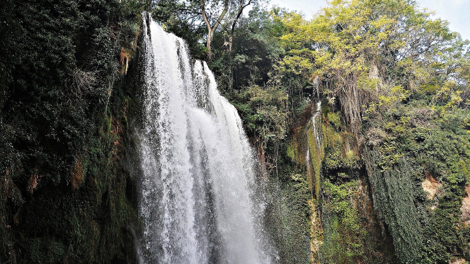 La cascada Cola de Caballo del Monasterio de Piedra cayendo entre vegetación